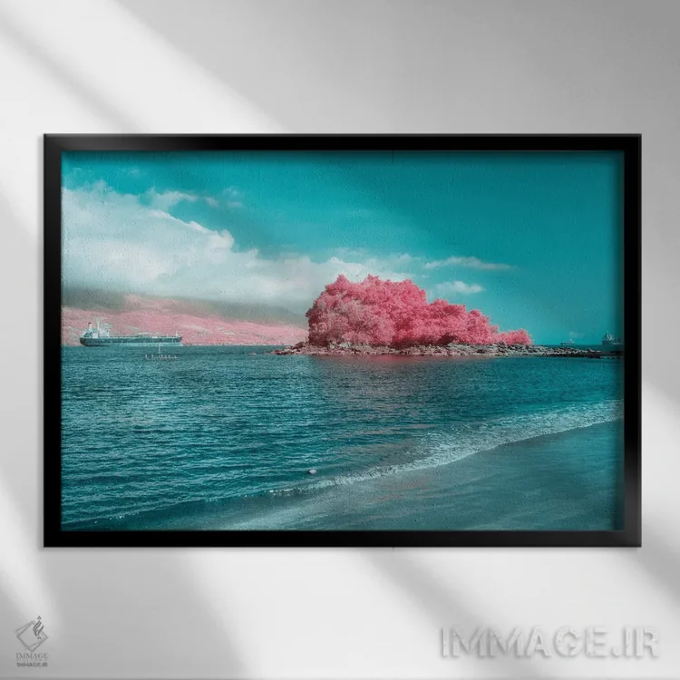 تابلو دکوراتیو موجودات فلسفه اثر گلاوکو منهالی - نمای قابدار مشکی