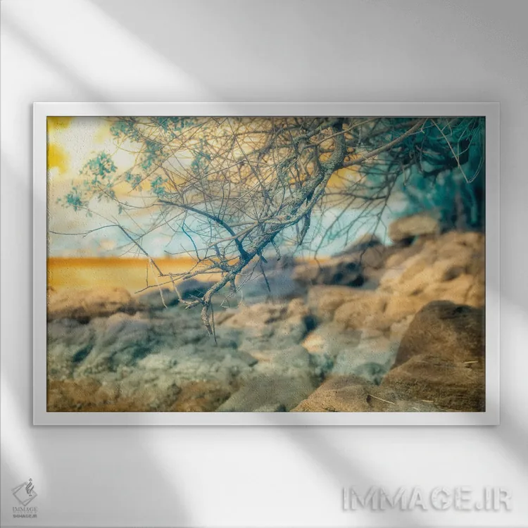 تابلو دکوراتیو دارایی های موقت اثر گلاوکو منهالی - نمای قابدار سفید