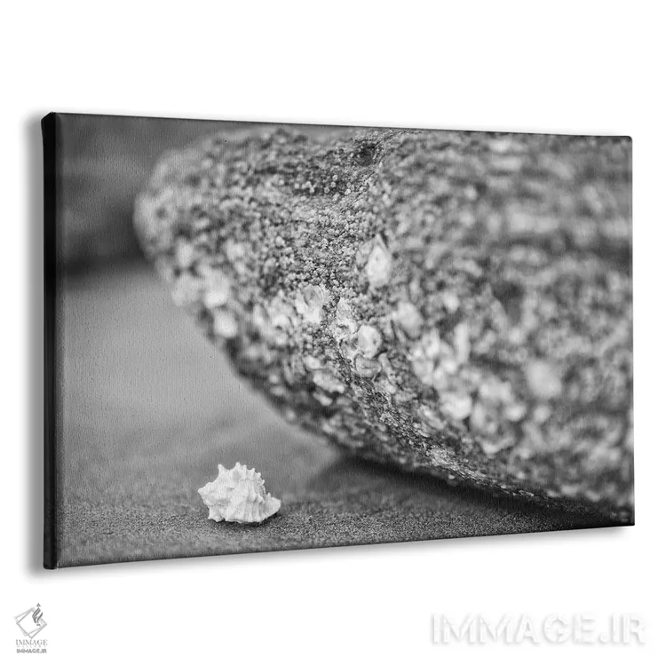 تابلو دکوراتیو خدمت بردباری اثر گلاوکو منهالی - نمای پرسپکتیو محصول