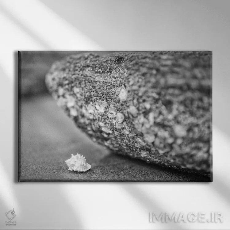 تابلو دکوراتیو خدمت بردباری اثر گلاوکو منهالی - نمای روبهرو روی دیوار