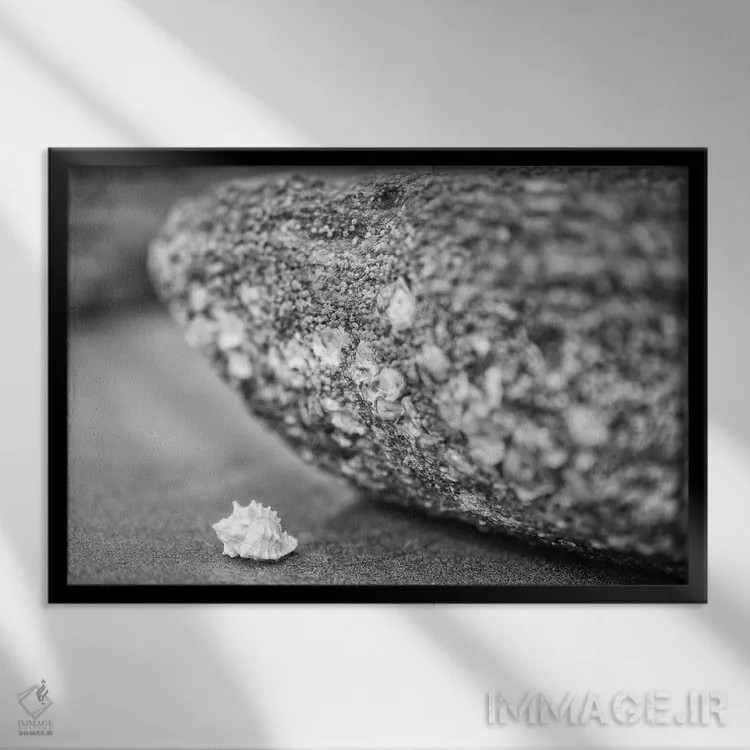 تابلو دکوراتیو خدمت بردباری اثر گلاوکو منهالی - نمای قابدار مشکی