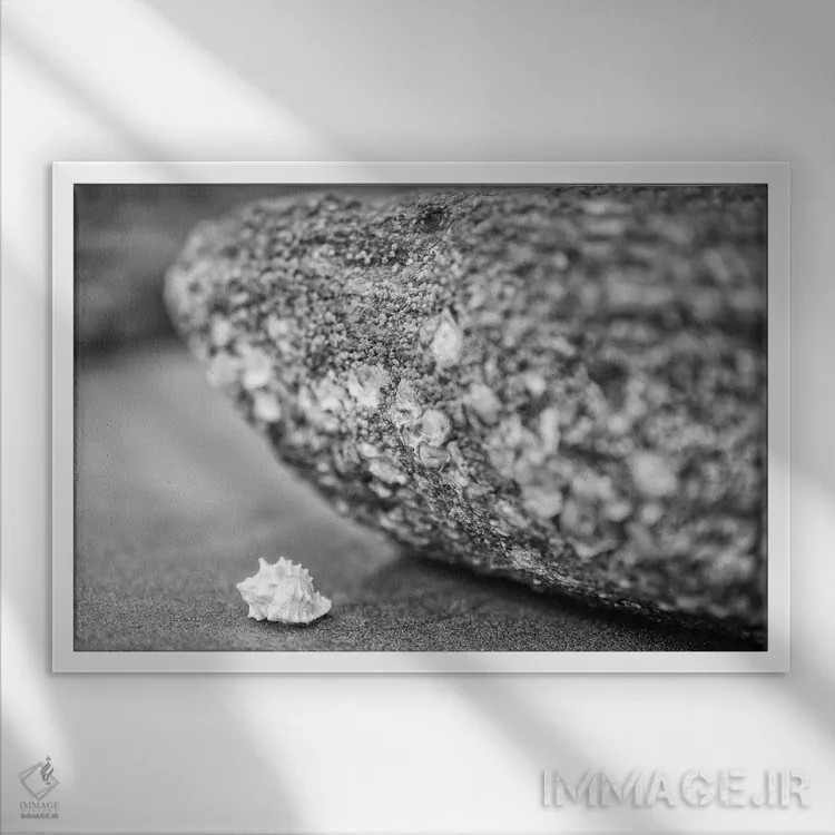 تابلو دکوراتیو خدمت بردباری اثر گلاوکو منهالی - نمای قابدار سفید
