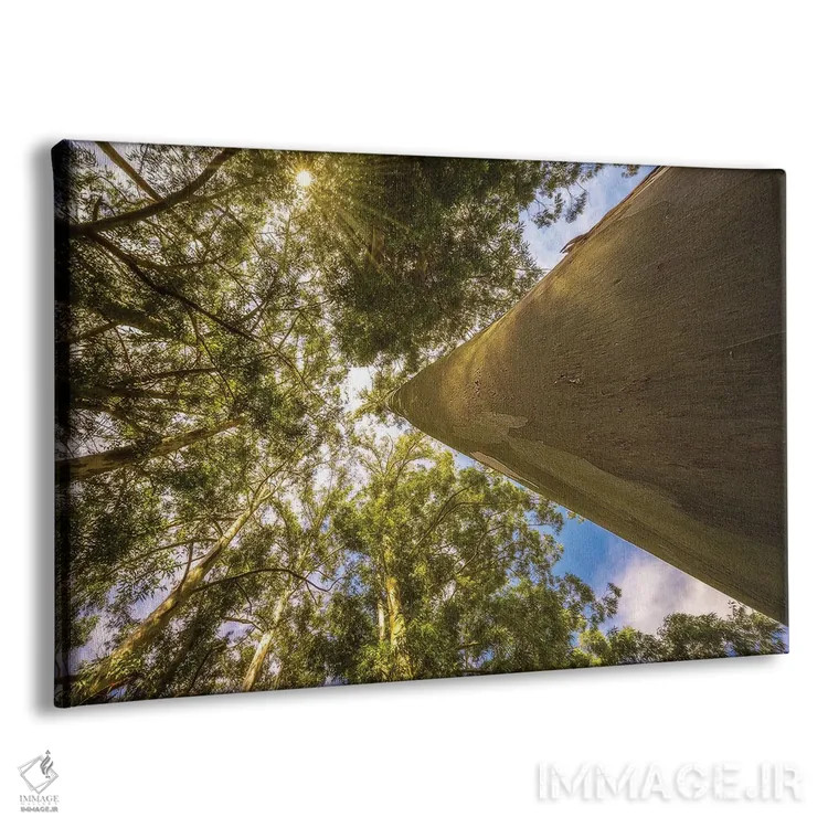 تابلو دکوراتیو درخت جادویی اثر گلاوکو منهالی - نمای پرسپکتیو محصول