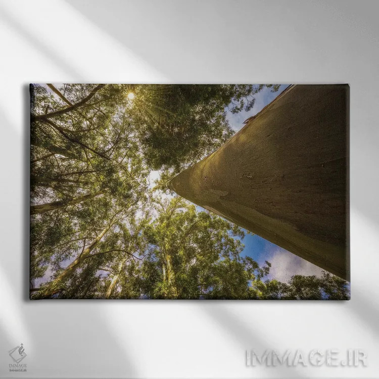 تابلو دکوراتیو درخت جادویی اثر گلاوکو منهالی - نمای روبهرو روی دیوار