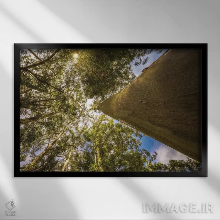 تابلو دکوراتیو درخت جادویی اثر گلاوکو منهالی - نمای قابدار مشکی