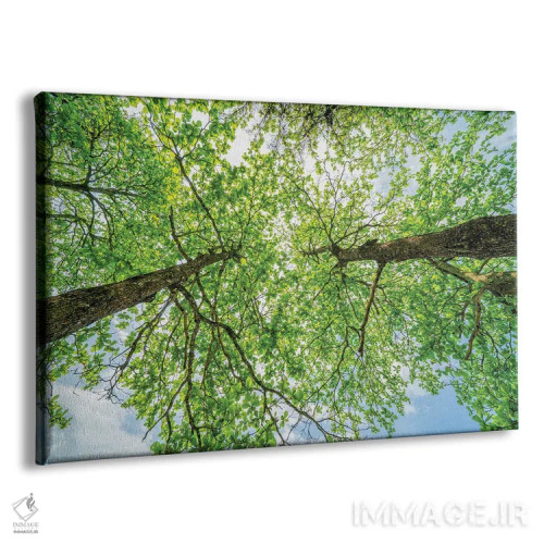 تابلو دکوراتیو تخیل عجیب اثر گلاوکو منهالی - نمای پرسپکتیو محصول