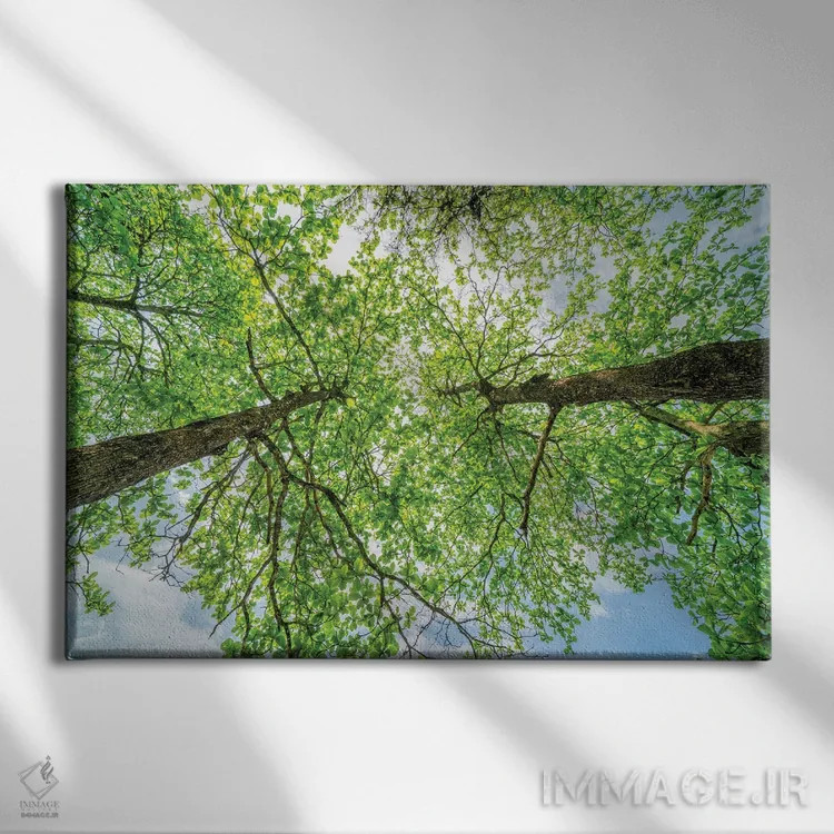 تابلو دکوراتیو تخیل عجیب اثر گلاوکو منهالی - نمای روبهرو روی دیوار