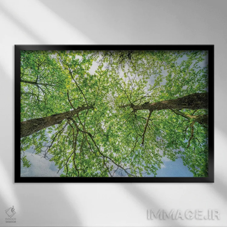 تابلو دکوراتیو تخیل عجیب اثر گلاوکو منهالی - نمای قابدار مشکی