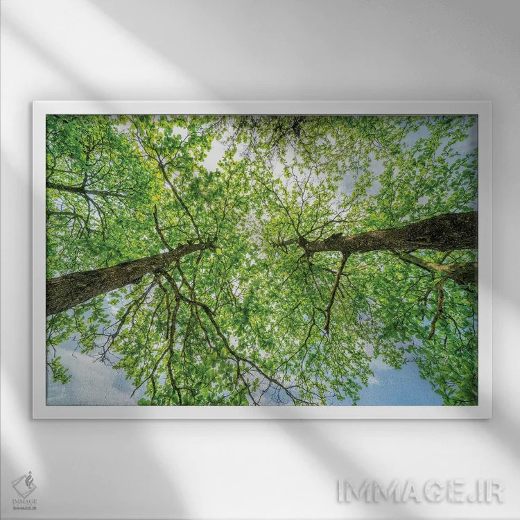 تابلو دکوراتیو تخیل عجیب اثر گلاوکو منهالی - نمای قابدار سفید