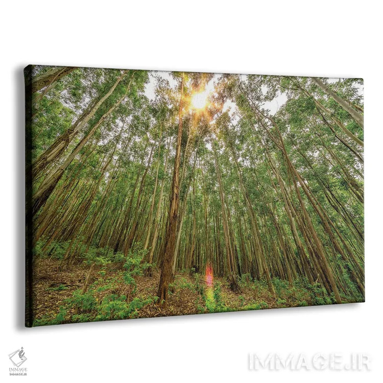 تابلو دکوراتیو ظرافت پویا اثر گلاوکو منهالی - نمای پرسپکتیو محصول