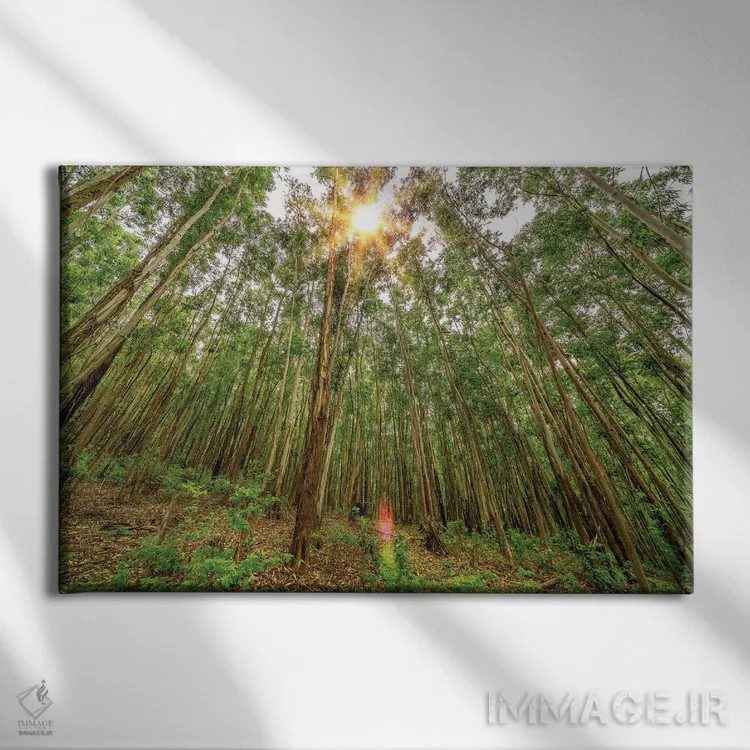 تابلو دکوراتیو ظرافت پویا اثر گلاوکو منهالی - نمای روبهرو روی دیوار