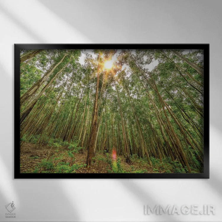 تابلو دکوراتیو ظرافت پویا اثر گلاوکو منهالی - نمای قابدار مشکی