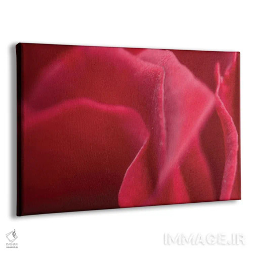 تابلو دکوراتیو گل XLII اثر گلاوکو منهالی - نمای پرسپکتیو محصول