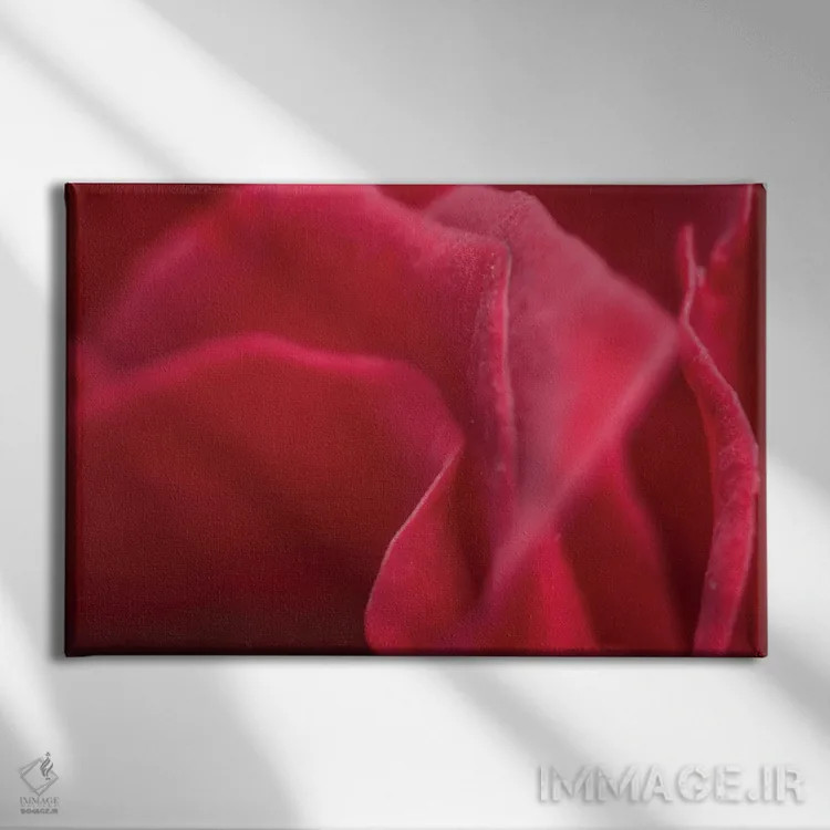 تابلو دکوراتیو گل XLII اثر گلاوکو منهالی - نمای روبهرو روی دیوار