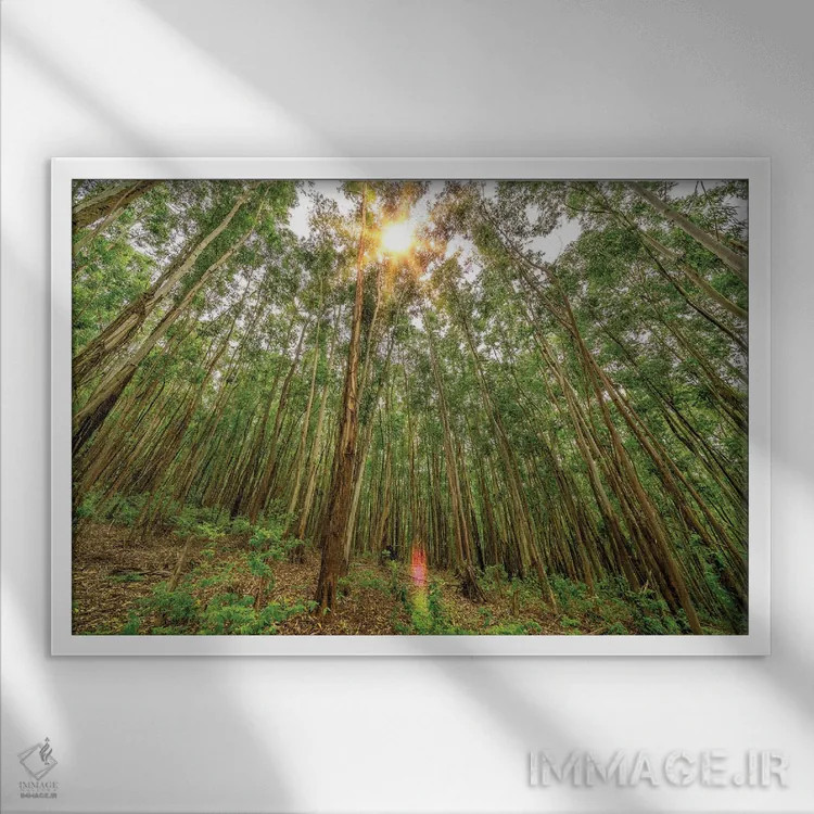 تابلو دکوراتیو ظرافت پویا اثر گلاوکو منهالی - نمای قابدار سفید