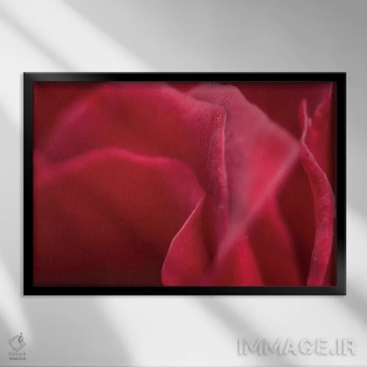 تابلو دکوراتیو گل XLII اثر گلاوکو منهالی - نمای قابدار مشکی