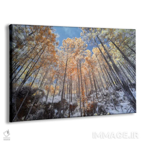 تابلو دکوراتیو درختان بلند اثر گلاوکو منهالی - نمای پرسپکتیو محصول