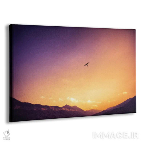 تابلو دکوراتیو پرنده تنها اثر گلاوکو منهالی - نمای پرسپکتیو محصول