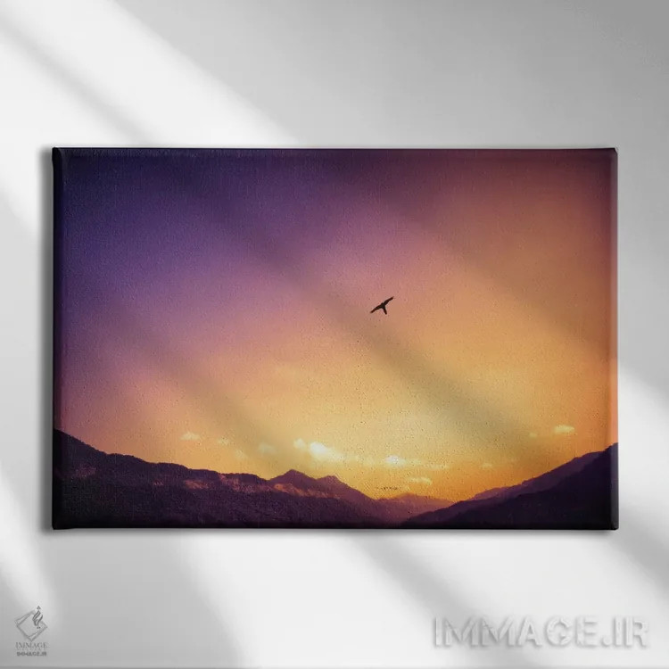 تابلو دکوراتیو پرنده تنها اثر گلاوکو منهالی - نمای روبهرو روی دیوار