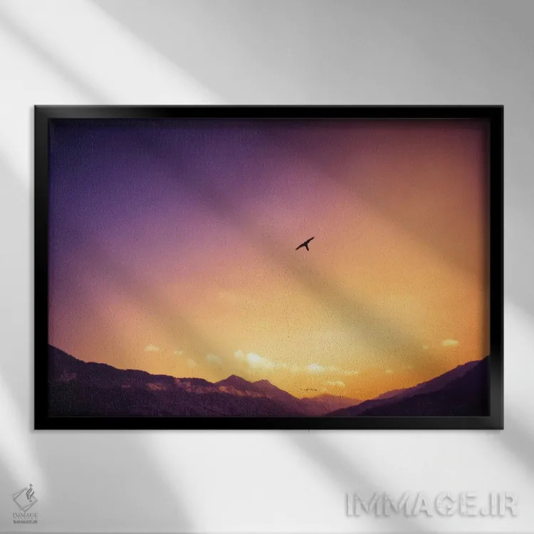 تابلو دکوراتیو پرنده تنها اثر گلاوکو منهالی - نمای قابدار مشکی