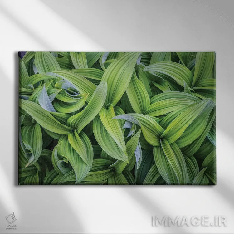 تابلو دکوراتیو برگ های پای مرداب در الگوهای انتزاعی ۱، ایالت واشنگتن اثر گری لوهم - نمای روبهرو روی دیوار