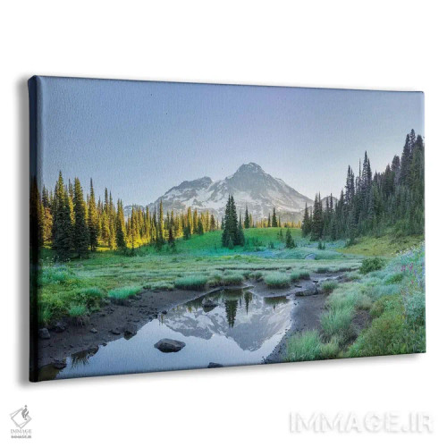 تابلو دکوراتیو Mt. Rainier National Park II,انعکاس کوه رینیر در برکه میان گل… اثر گری لوهم - نمای پرسپکتیو محصول