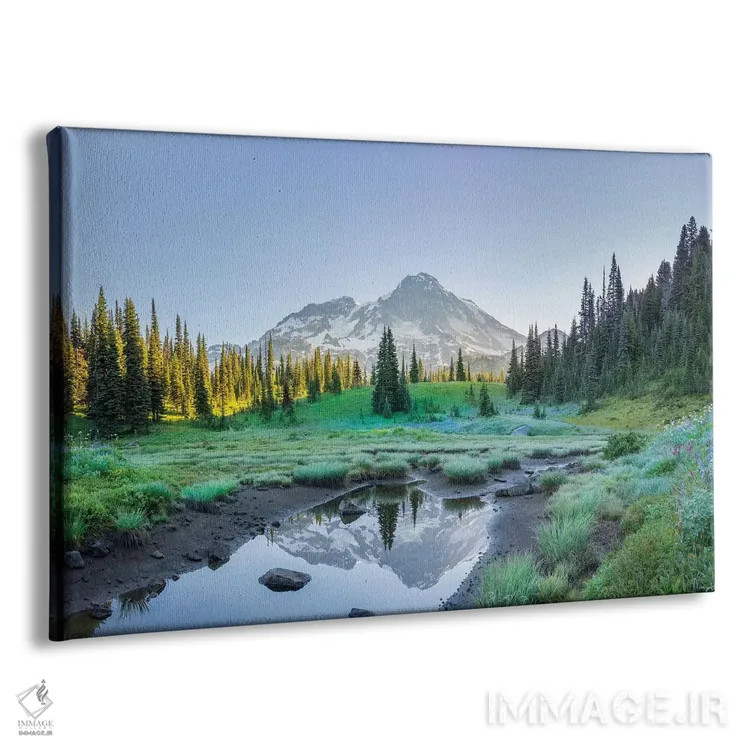 تابلو دکوراتیو Mt. Rainier National Park II,انعکاس کوه رینیر در برکه میان گل… اثر گری لوهم - نمای پرسپکتیو محصول