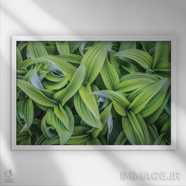 تابلو دکوراتیو برگ های پای مرداب در الگوهای انتزاعی ۱، ایالت واشنگتن اثر گری لوهم - نمای قابدار سفید