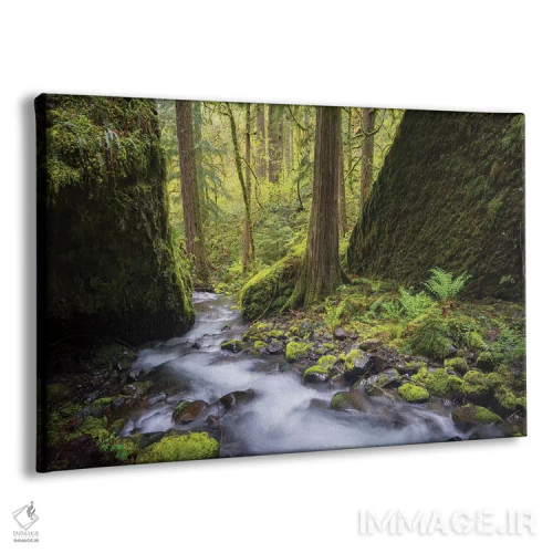 تابلو دکوراتیو Oregon. Spring view of Ruckle Creek in the Columbia River Gorg… اثر گری لوهم - نمای پرسپکتیو محصول