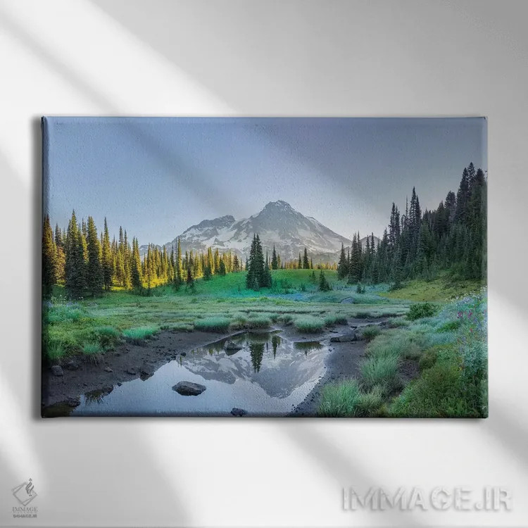 تابلو دکوراتیو Mt. Rainier National Park II,انعکاس کوه رینیر در برکه میان گل… اثر گری لوهم - نمای روبهرو روی دیوار