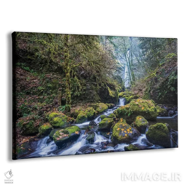 تابلو دکوراتیو Oregon. Autumn view of McCord Creek flowing below Elowah Falls… اثر گری لوهم - نمای پرسپکتیو محصول