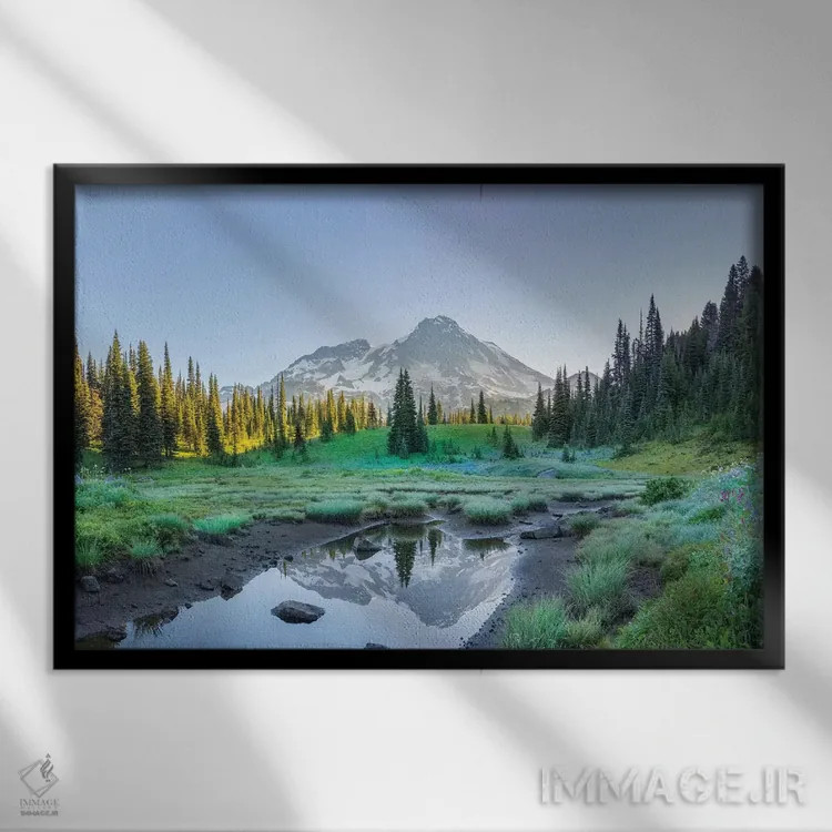 تابلو دکوراتیو Mt. Rainier National Park II,انعکاس کوه رینیر در برکه میان گل… اثر گری لوهم - نمای قابدار مشکی