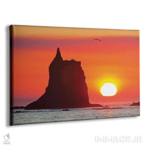 تابلو دکوراتیو Toleak Point, Olympic National Park, Washington, USA,برج دریای… اثر گری لوهم - نمای پرسپکتیو محصول