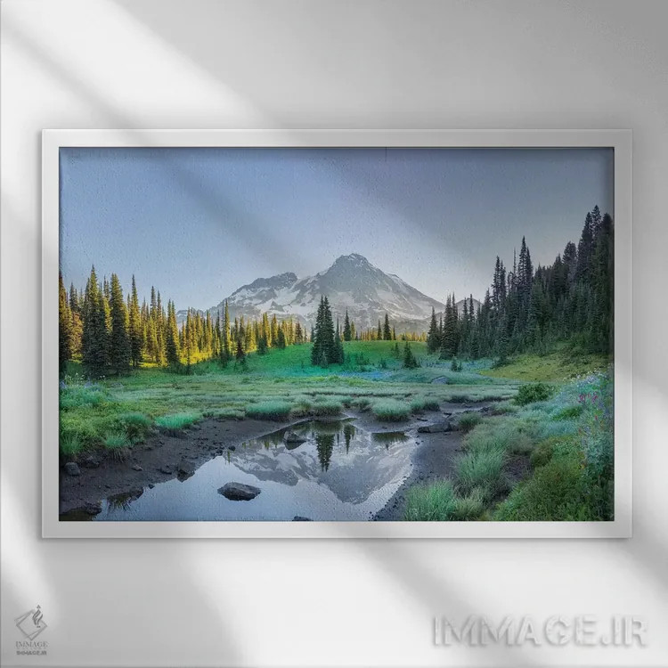 تابلو دکوراتیو Mt. Rainier National Park II,انعکاس کوه رینیر در برکه میان گل… اثر گری لوهم - نمای قابدار سفید