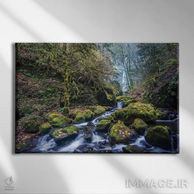 تابلو دکوراتیو Oregon. Autumn view of McCord Creek flowing below Elowah Falls… اثر گری لوهم - نمای روبهرو روی دیوار