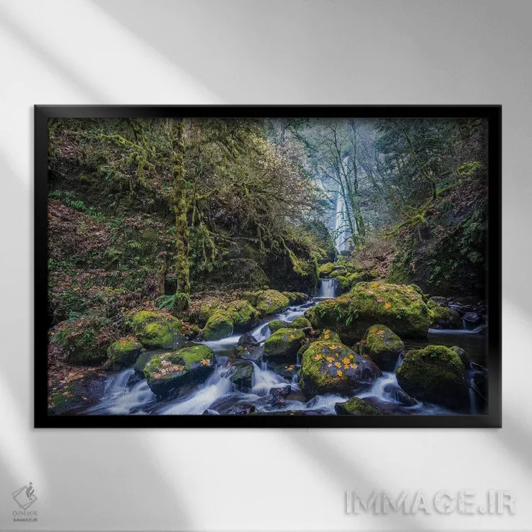 تابلو دکوراتیو Oregon. Autumn view of McCord Creek flowing below Elowah Falls… اثر گری لوهم - نمای قابدار مشکی