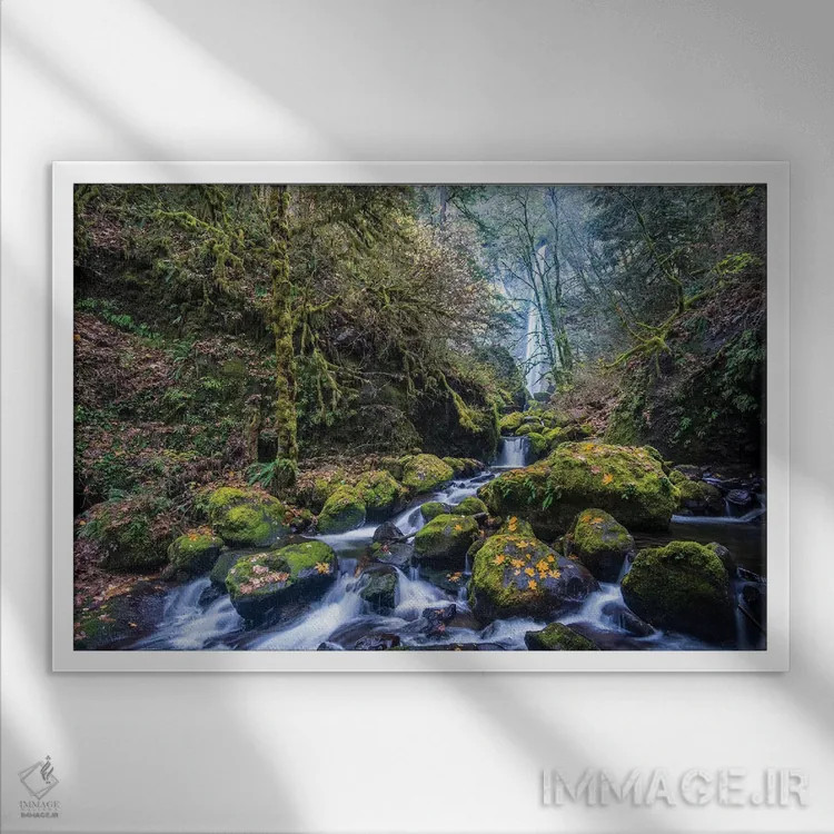 تابلو دکوراتیو Oregon. Autumn view of McCord Creek flowing below Elowah Falls… اثر گری لوهم - نمای قابدار سفید