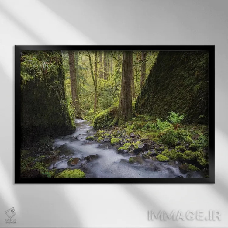 تابلو دکوراتیو Oregon. Spring view of Ruckle Creek in the Columbia River Gorg… اثر گری لوهم - نمای قابدار مشکی