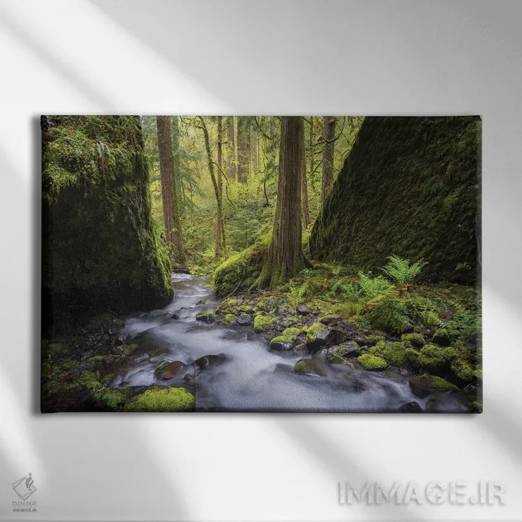 تابلو دکوراتیو Oregon. Spring view of Ruckle Creek in the Columbia River Gorg… اثر گری لوهم - نمای روبهرو روی دیوار