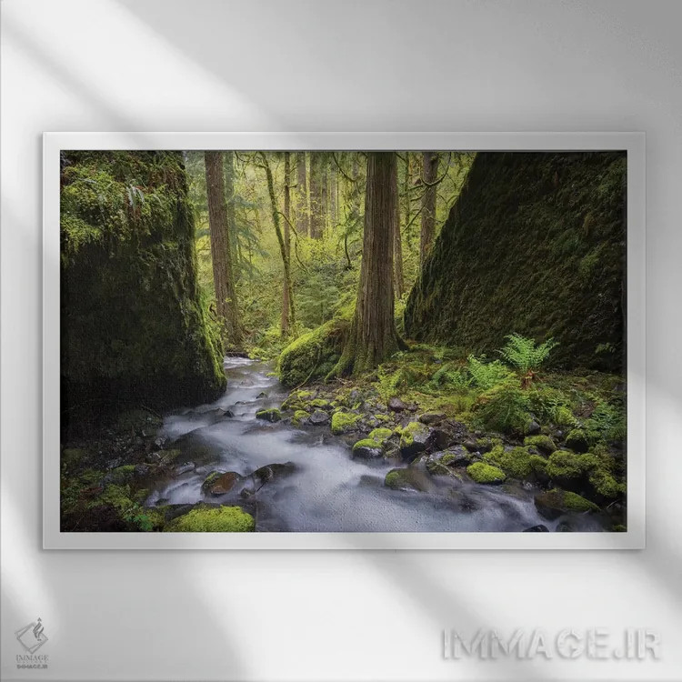 تابلو دکوراتیو Oregon. Spring view of Ruckle Creek in the Columbia River Gorg… اثر گری لوهم - نمای قابدار سفید