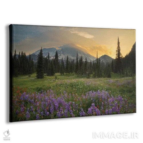 تابلو دکوراتیو Indian Henry's Hunting Ground, Mount Rainier National Park, Wa… اثر گری لوهم - نمای پرسپکتیو محصول