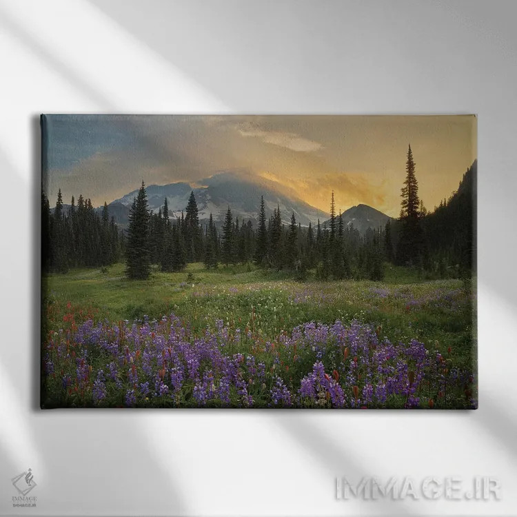 تابلو دکوراتیو Indian Henry's Hunting Ground, Mount Rainier National Park, Wa… اثر گری لوهم - نمای روبهرو روی دیوار