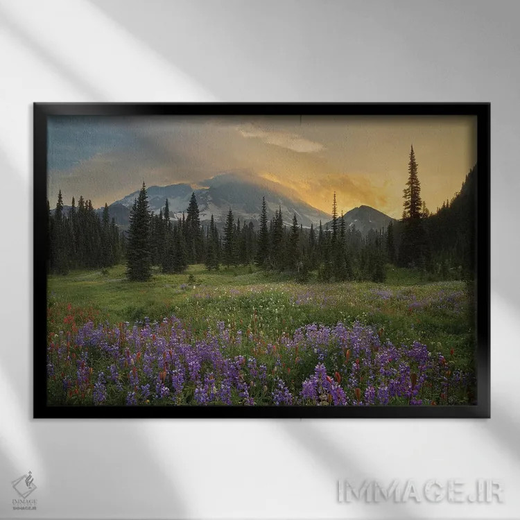 تابلو دکوراتیو Indian Henry's Hunting Ground, Mount Rainier National Park, Wa… اثر گری لوهم - نمای قابدار مشکی