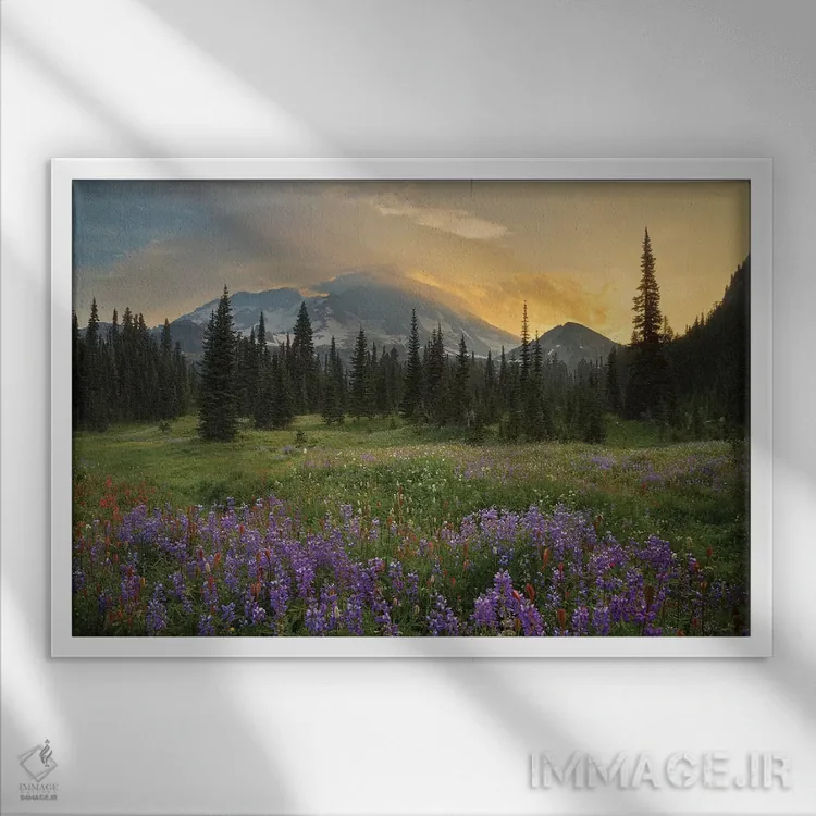 تابلو دکوراتیو Indian Henry's Hunting Ground, Mount Rainier National Park, Wa… اثر گری لوهم - نمای قابدار سفید