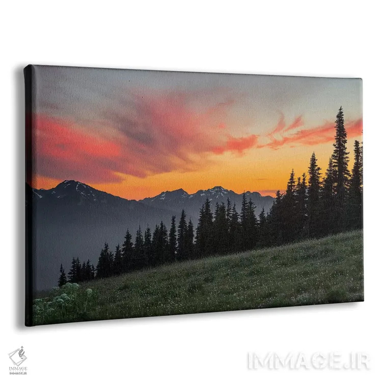 تابلو دکوراتیو Olympic National Park, Washington, USA,غروب باشکوه از ریج هوری… اثر گری لوهم - نمای پرسپکتیو محصول