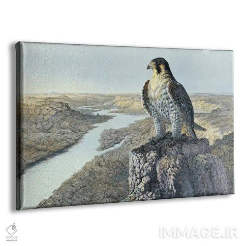 تابلو دکوراتیو نگاهی مراقب اثر جف مووری - نمای پرسپکتیو محصول