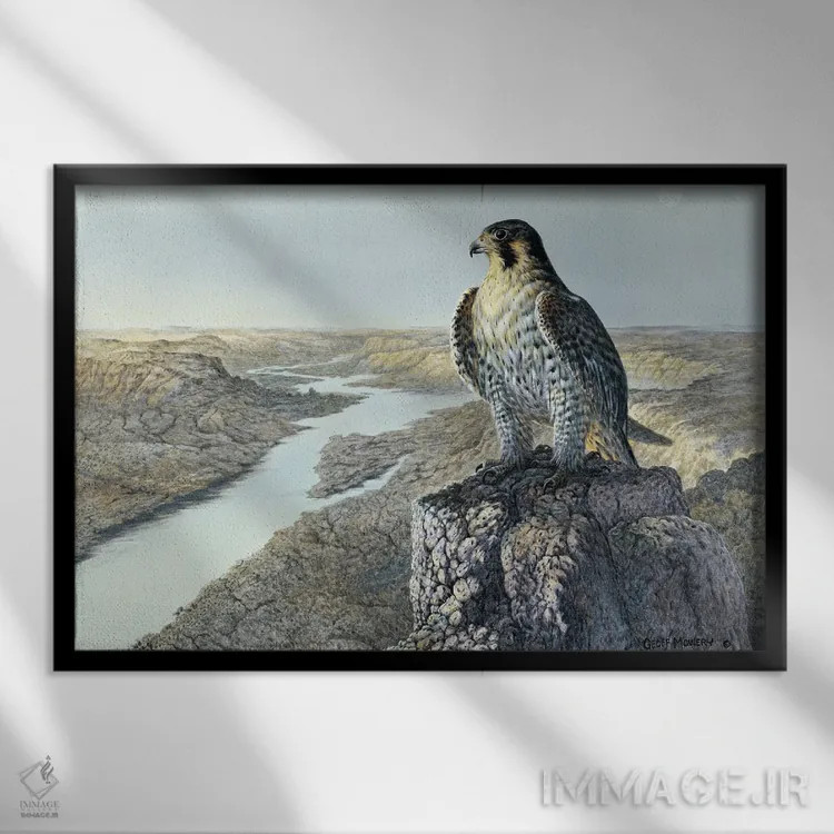 تابلو دکوراتیو نگاهی مراقب اثر جف مووری - نمای قابدار مشکی