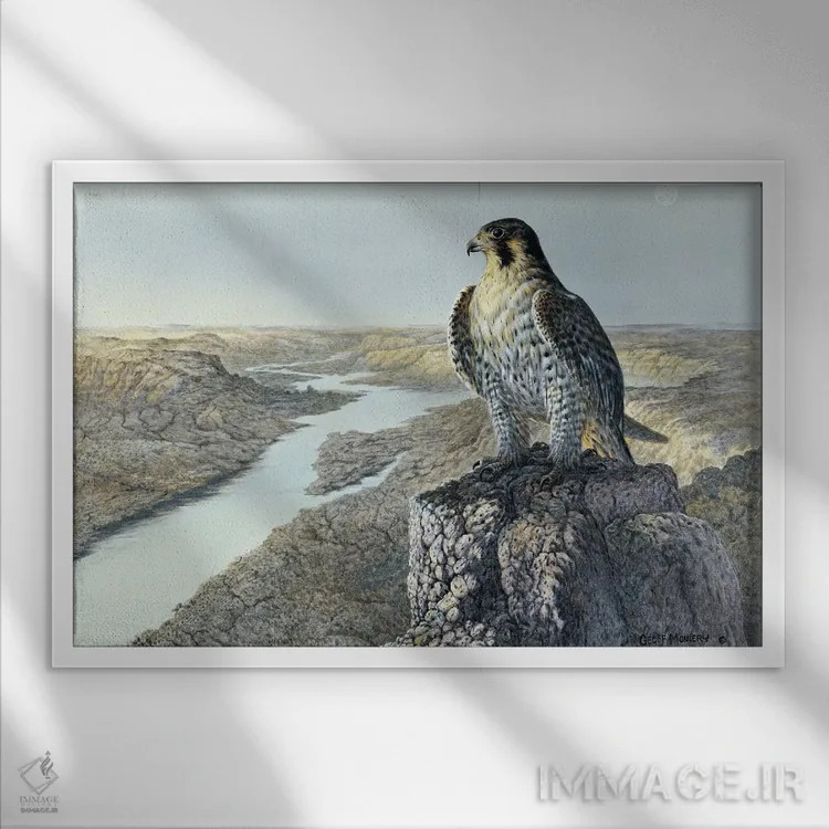 تابلو دکوراتیو نگاهی مراقب اثر جف مووری - نمای قابدار سفید