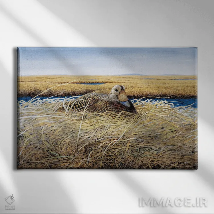 تابلو دکوراتیو اردک خالدار در دلتای یوکون-کوسکواک اثر جف مووری - نمای روبهرو روی دیوار