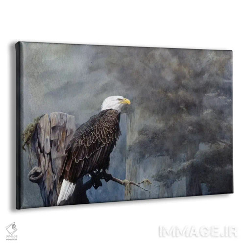 تابلو دکوراتیو مه آلود آزادی اثر استیو گود - نمای پرسپکتیو محصول